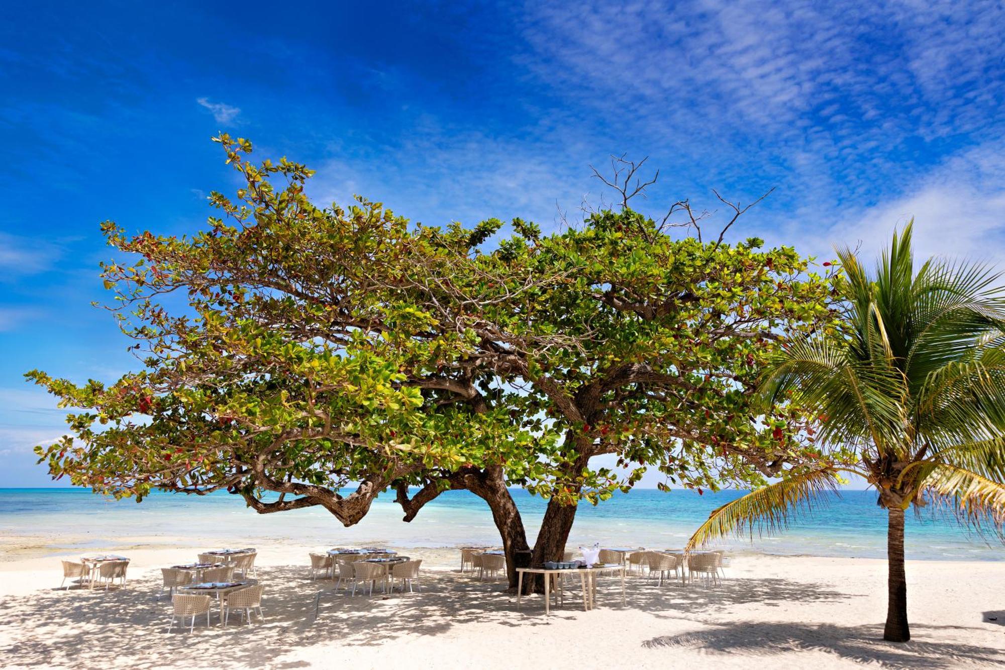Bawe Island Zanzibar Ξενοδοχείο Εξωτερικό φωτογραφία